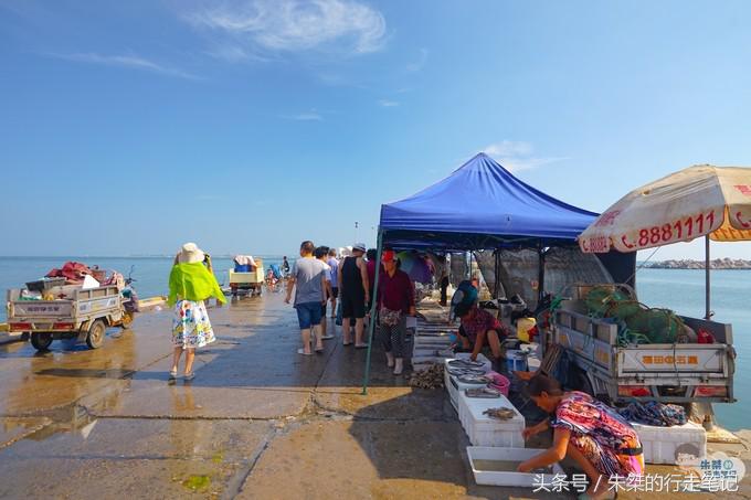 鍐榫欏彛鏃呮父鏀荤暐,鑳朵笢榫欏彛鏃呮父鏀荤暐