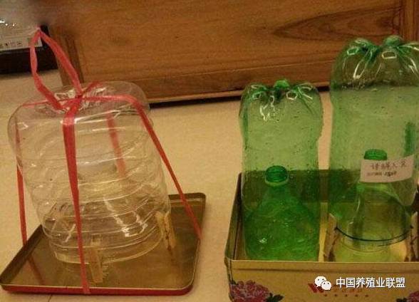 养殖苍蝇神器,养殖场苍蝇诱捕神器