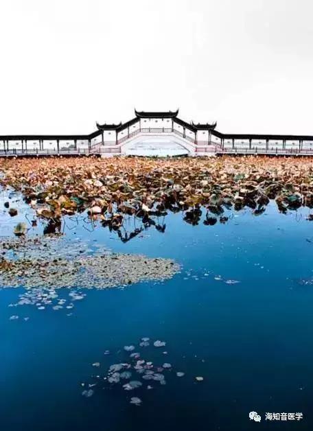 醉美中国——江苏