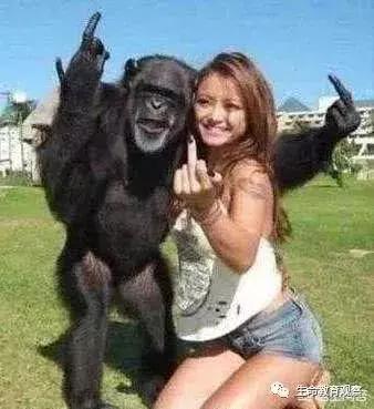 科学家如何发现人和大猩猩间有生殖隔离的