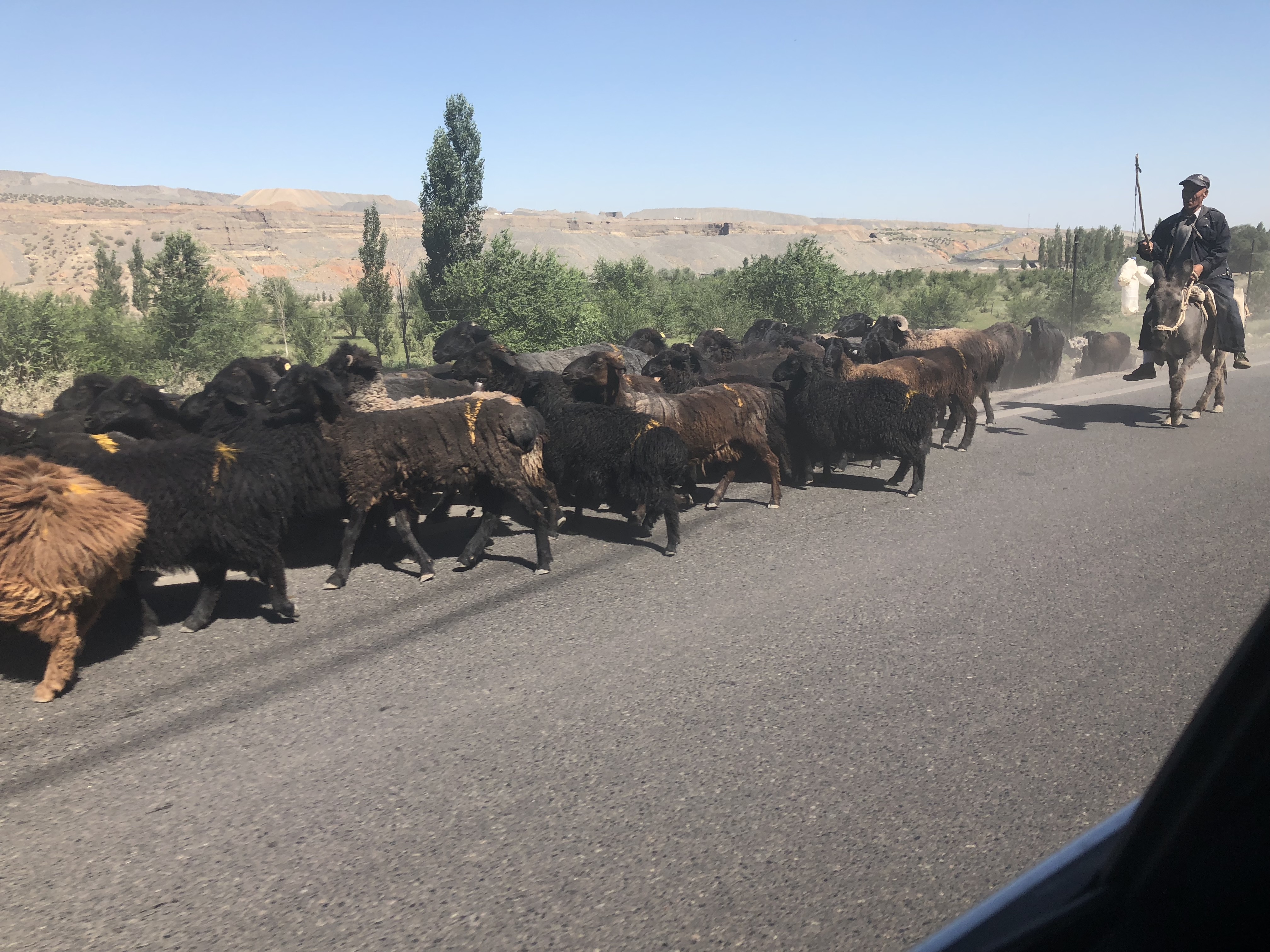 乌鲁木齐到索尔巴斯陶怎么走,索尔巴斯陶避暑