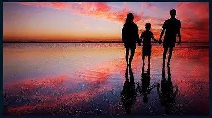 龙应台目送摘抄,龙应台目送正版书籍