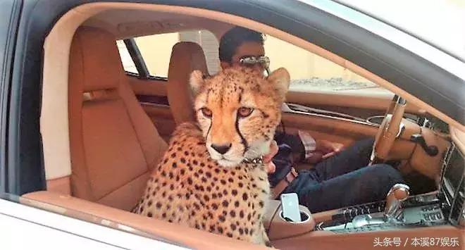 奢侈品的vip门槛是多少,奢侈品高端vip