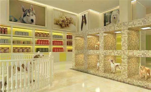 小区内创业开什么小店最稳,分享几个挣钱的好项目