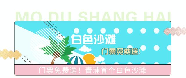 从上海坐高铁到香港需要什么条件,上海可以坐高铁去香港吗