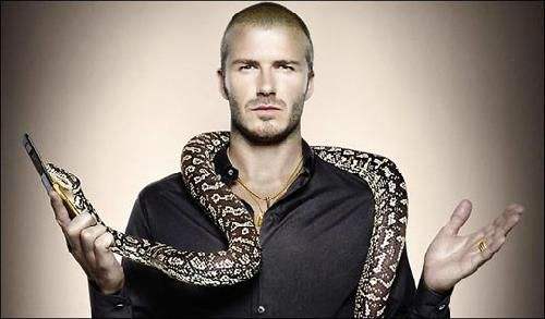 摩托罗拉经典手机v8,摩托罗拉v8经典老款