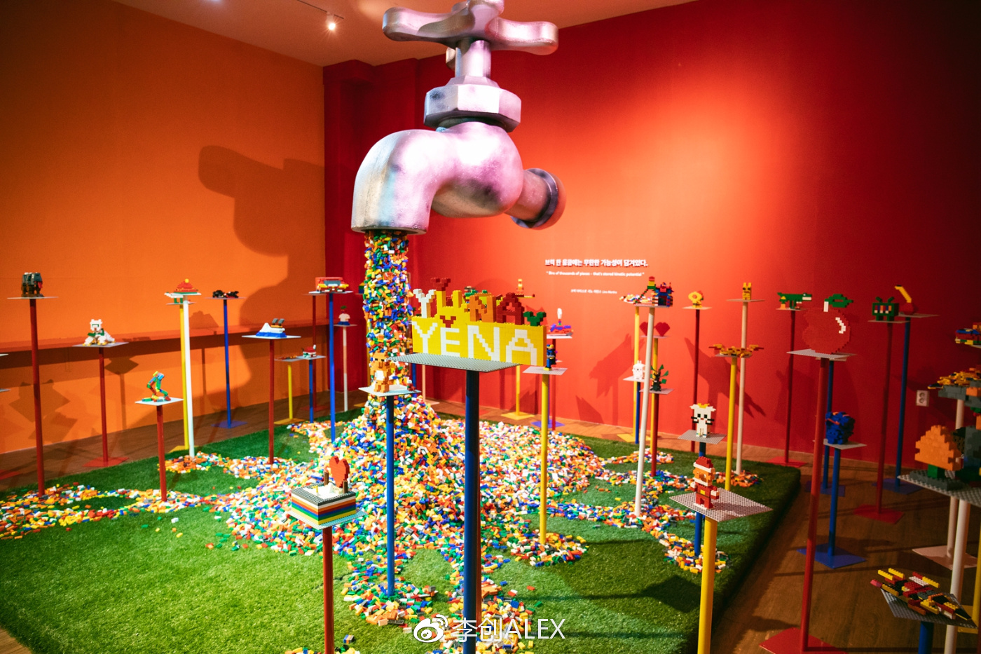 济州岛即将上演的童话世界,去济州岛旅行的感受