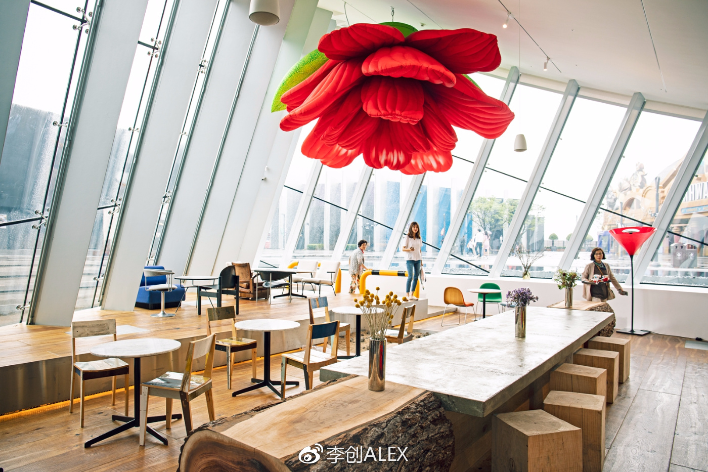 济州岛即将上演的童话世界,去济州岛旅行的感受