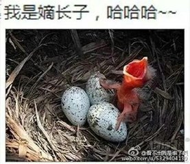 中超微信群,中超聊天群最新版