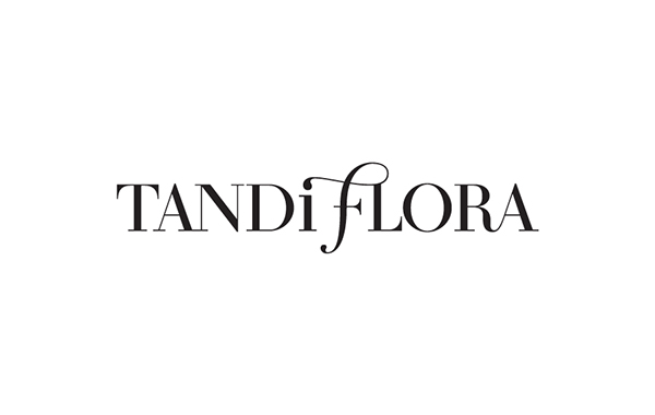 简约英文logo欣赏,英文字体设计logo创意