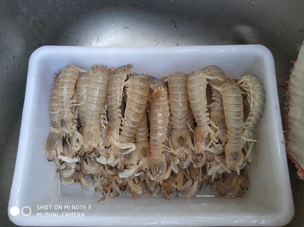 嵊泗离岛游玩攻略 (嵊泗列岛三天两夜旅游攻略)