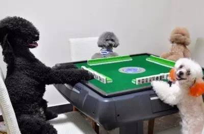 遂宁文化介绍,遂宁的人文历史