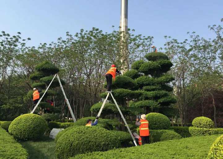 潍坊北海路改造最新消息,北海路口袋公园规划图