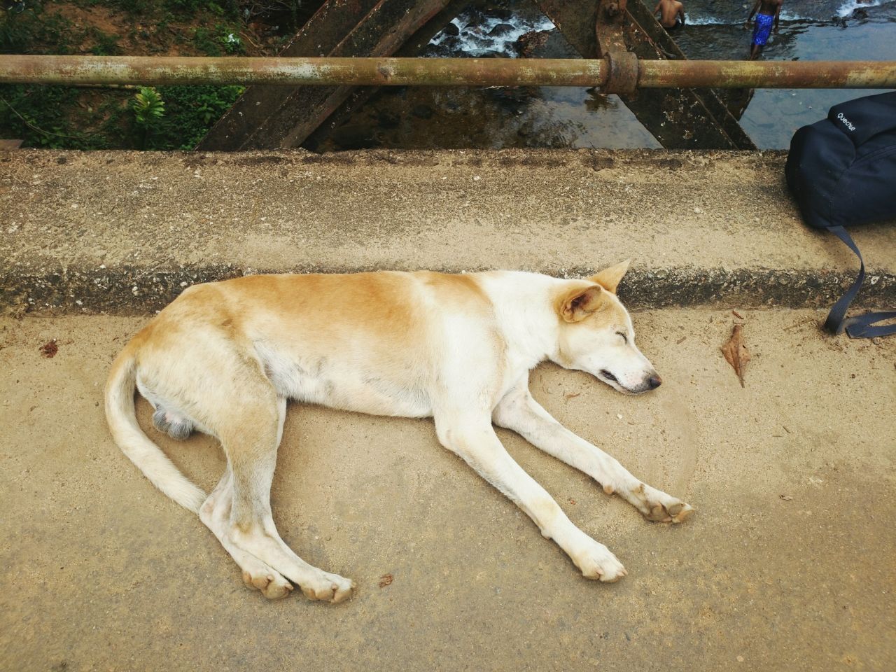 斯里兰卡7月旅游穿衣攻略,斯里兰卡旅游攻略情侣夏季