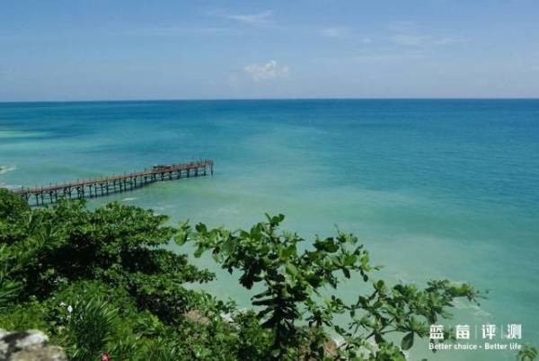 蓝莓评测美国蓝莓,蓝莓评测