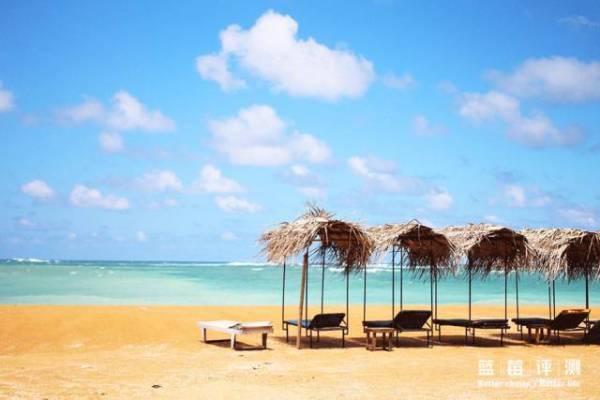 蓝莓评测美国蓝莓,蓝莓评测