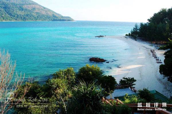 蓝莓评测美国蓝莓,蓝莓评测