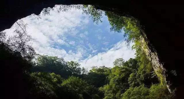 哪座山被选入2020中国避暑名山,避暑胜地天然大空调