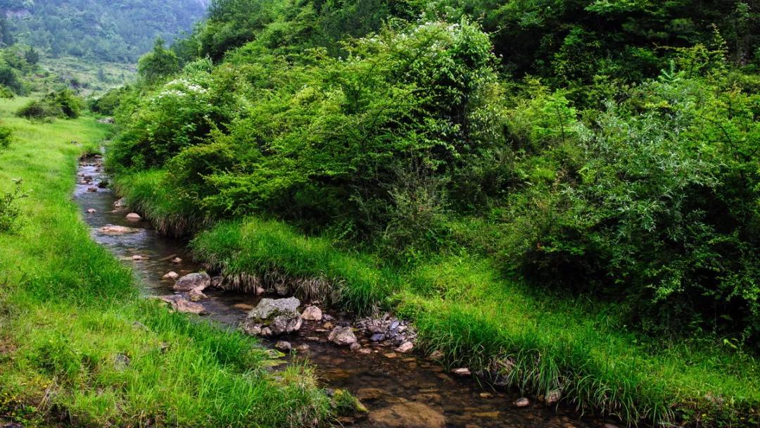 哪座山被选入2020中国避暑名山,避暑胜地天然大空调