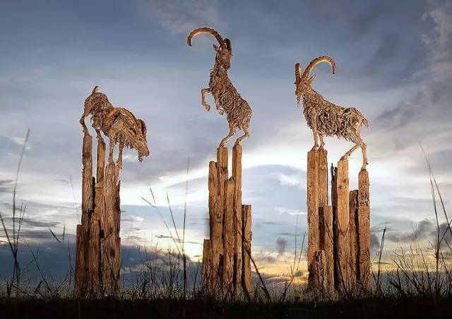 朽木可雕琢,朽木可雕