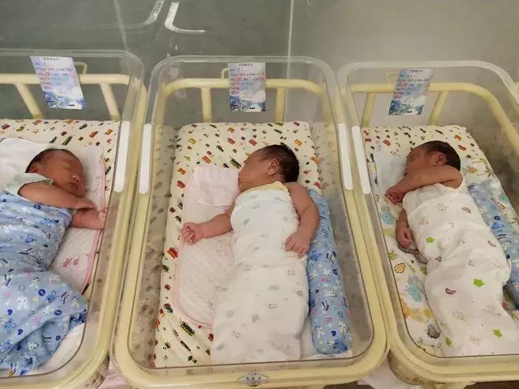 五星级的服务,月子中心沈阳推荐