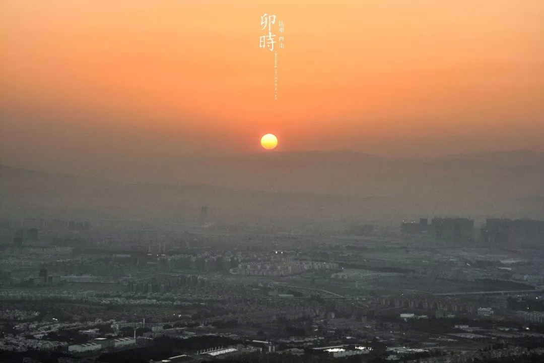 云南奇葩,云南奇葩视频