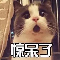 假香水多少钱,假香水可以卖多少钱