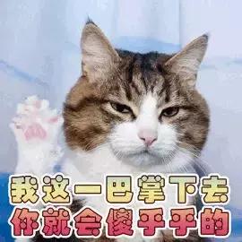 假香水多少钱,假香水可以卖多少钱