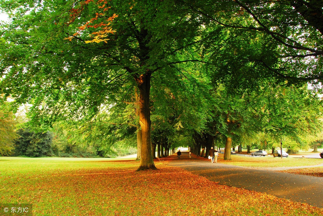 脸皮薄有什么好办法,脸皮太厚怎么办怎么让脸皮变薄