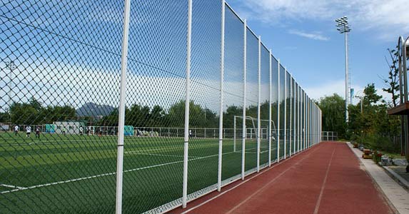 跟学长考同所大学他请我吃饭，刚入座他朋友冲我喊嫂子来了