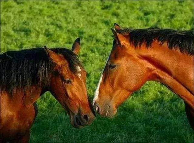 医院——地狱在人间的示现
