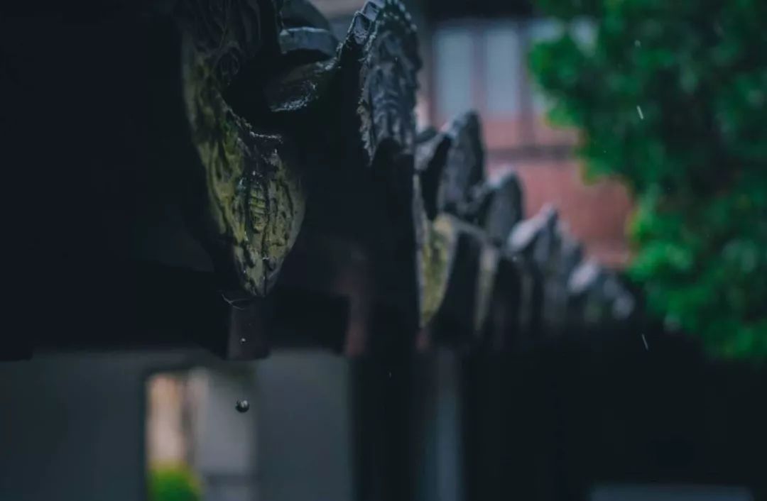 立秋暑去凉来一叶知秋,立秋暑气渐敛一叶知秋