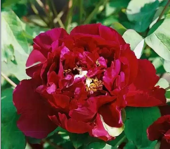 8.8发财日的祝福,8月18日发财日早安祝福图片