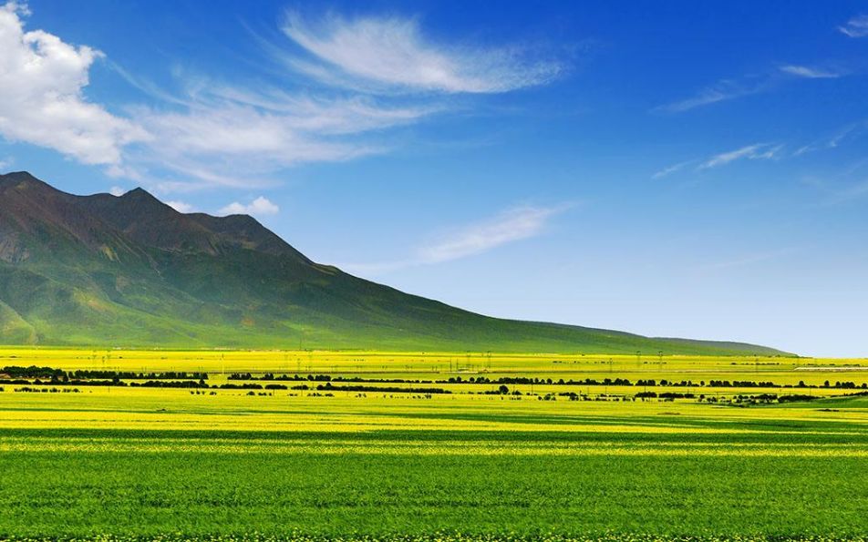 青海湖茶卡盐湖的路线,青海湖茶卡盐湖大草原