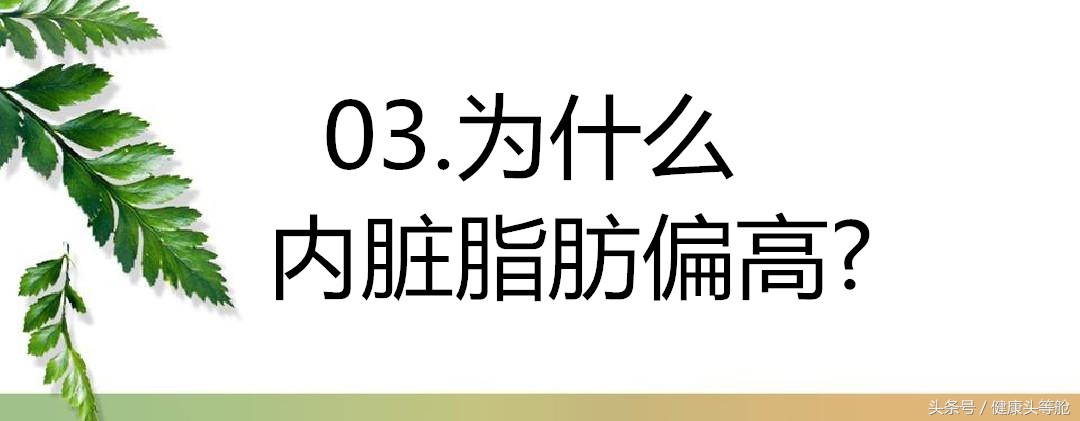 不要再在意自己胖瘦,别再纠结体重秤上的数字啦