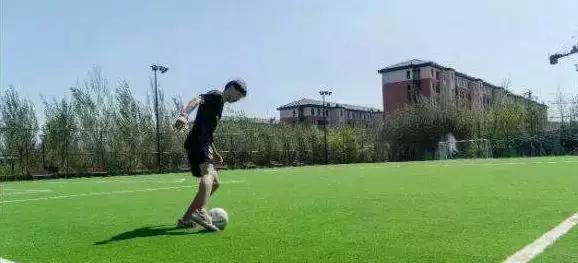 成都155个公共体育场馆免费,成都体育场有序开放