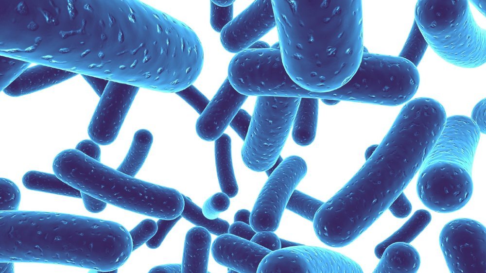 孩瑞盾小课堂新生儿需要补充的营养大全！