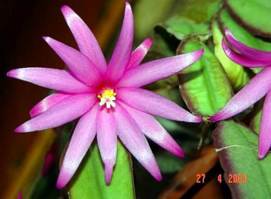 男生祝我幸福,男孩祝心爱的女孩幸福