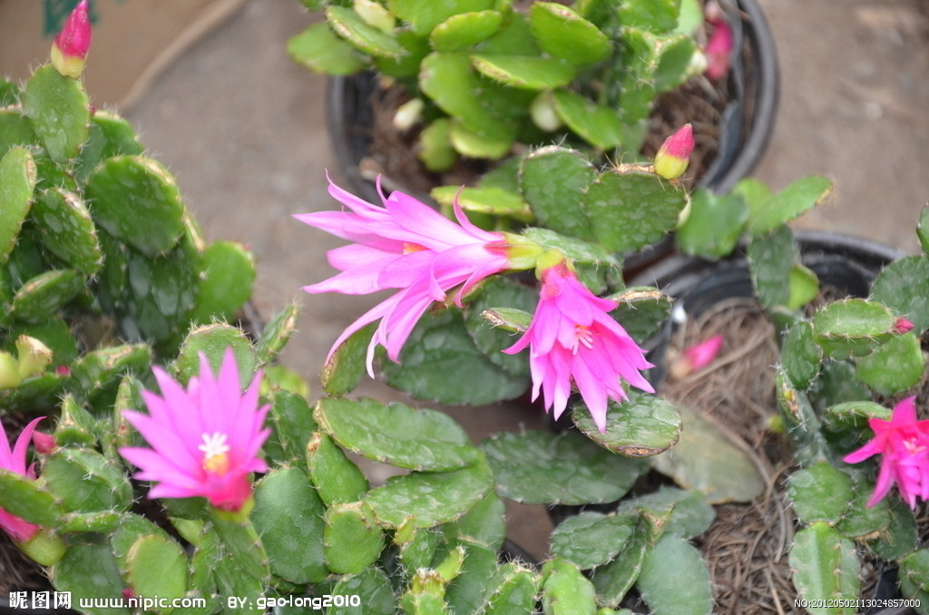 男生祝我幸福,男孩祝心爱的女孩幸福