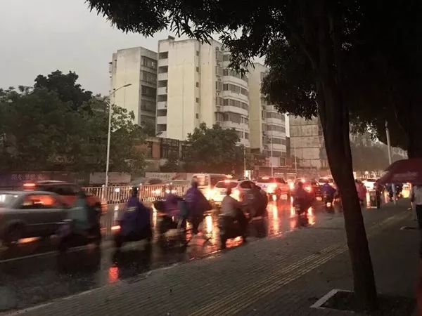 我的日常工作小日记,我的工作日记小视频