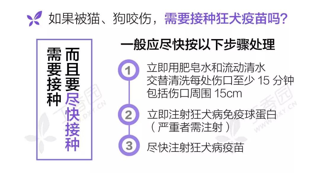 深圳市中医院打狂犬疫苗,深圳疫苗接种恢复了吗