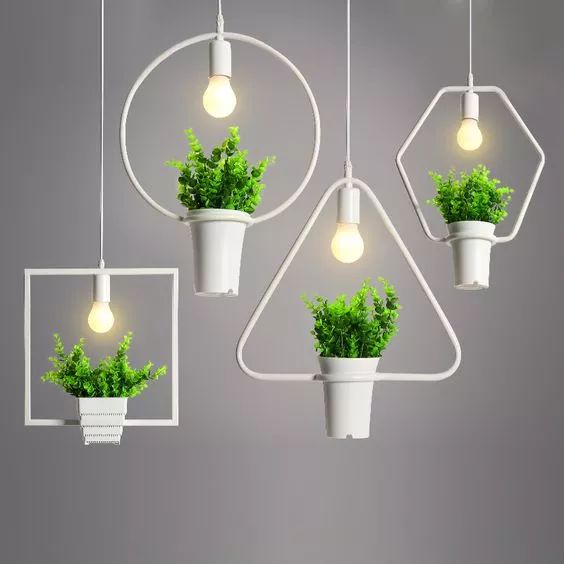 可以挂墙的绿植,适合做墙的绿植