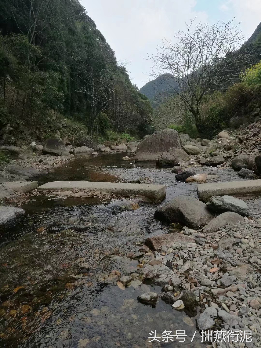 高利贷骚扰你，千万不要慌！
