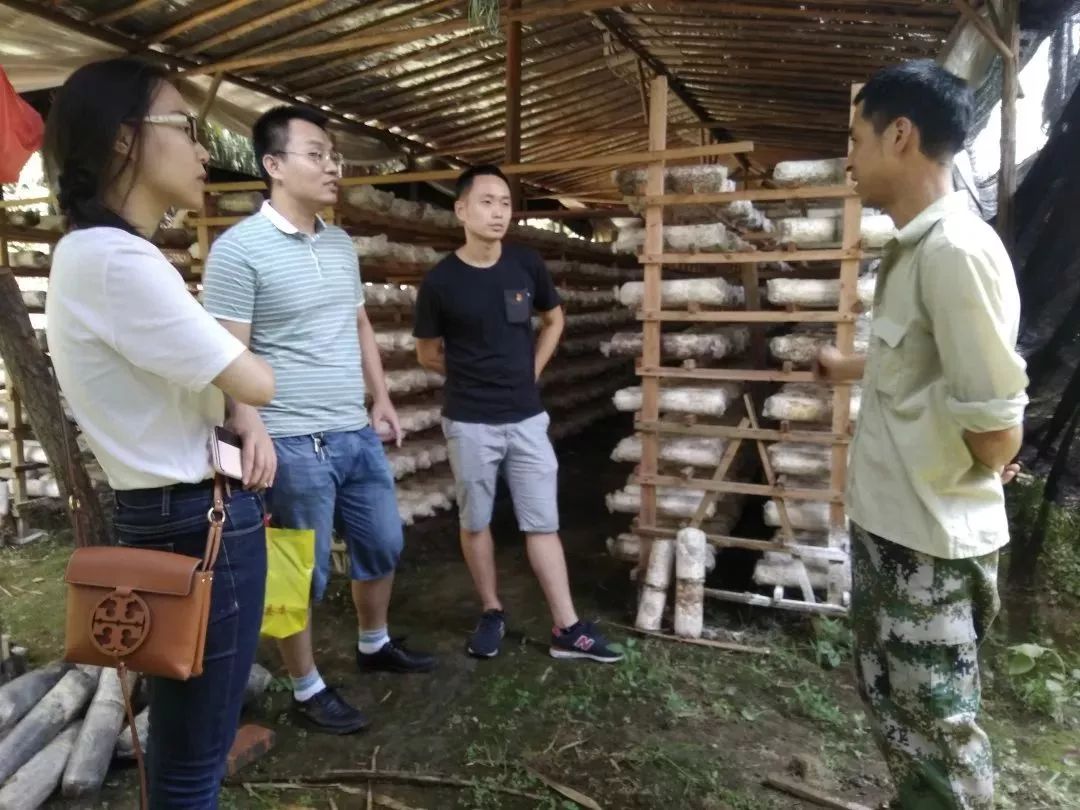 看过来！带你走一走将乐的这些返乡青年创业基地~｜新时代新作为新篇章