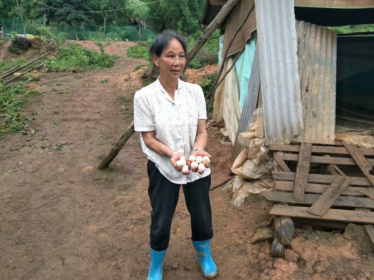 农业永远是最实在的行业,农业不是想象中的那么简单