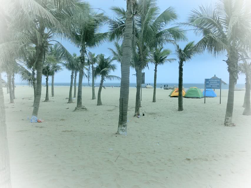 一大早10几个农名叔叔到海里去，收获满满，网友：齐心协力有鱼吃