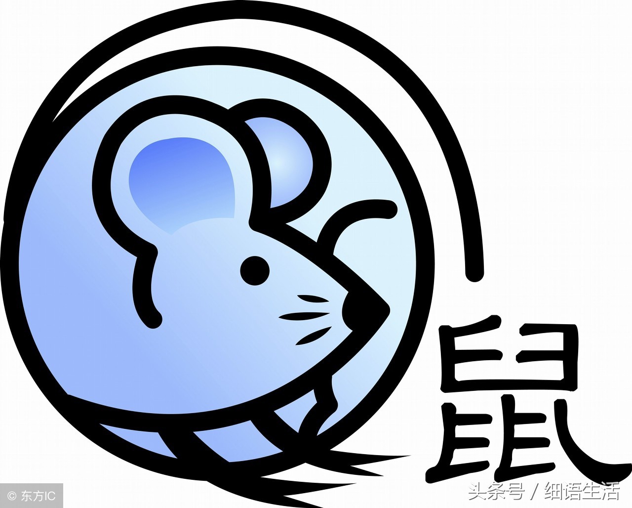 属鼠的八字命格如何看,属鼠八字命理详细解释