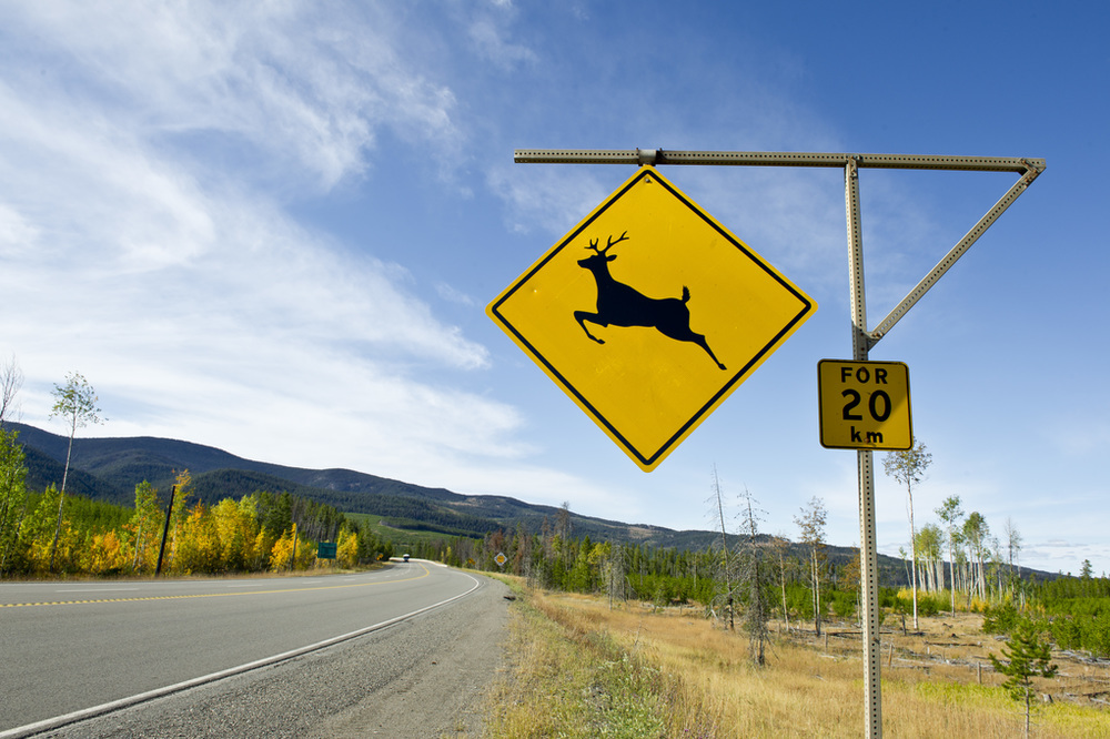 加拿大自驾游如何省钱,详细加拿大自驾游攻略