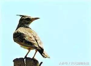 浜戦泙椋為福,浜戦泙椋為福浜庡ぉ璞″緛瀵岃吹鏃犺竟