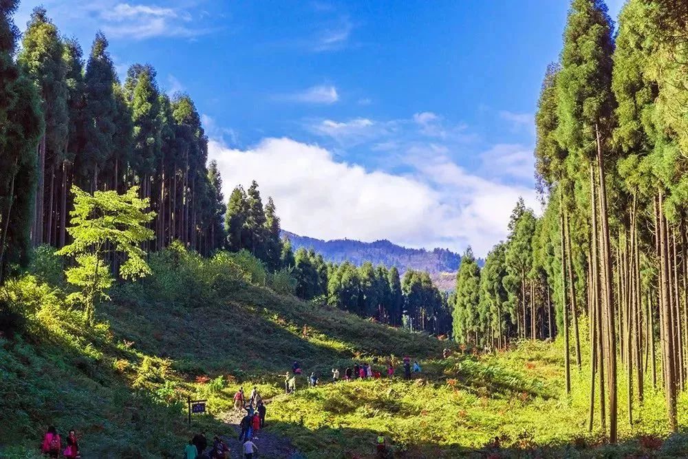 德阳周边玩水避暑民宿,德阳附近哪里有凉快又好玩的地方